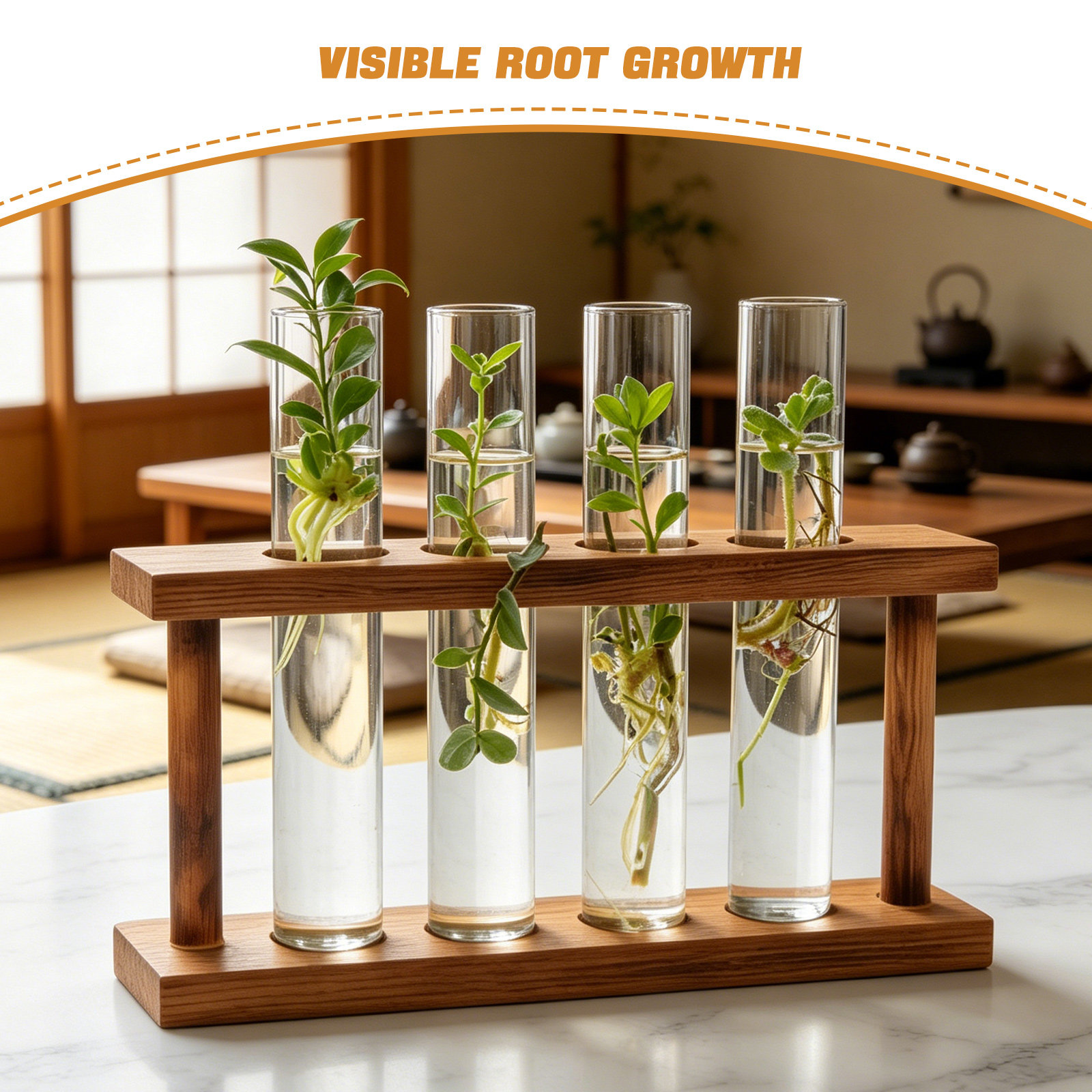 나무 재질의 식물 번식 스테이션, 유리 시험관 화병 받 - Propagation Station Vase 리뷰 및 가격