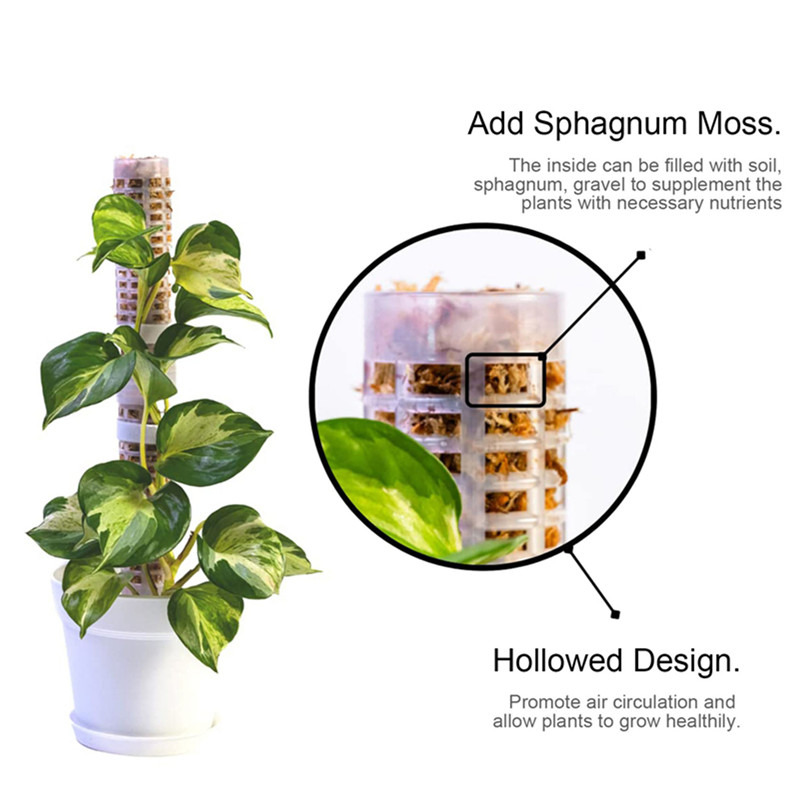 식물 등반용 기둥 스파그넘 모스 폴 식물 성장 지원대  - Sphagnum Moss Dry 리뷰 및 가격