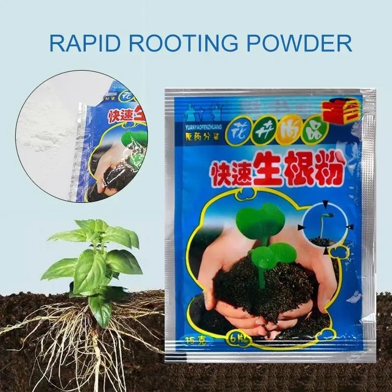 5개입 빠른 발근 분말 식물 급속 발근제 호르몬 성장  - Root Stimulator Liquid 리뷰 및 가격